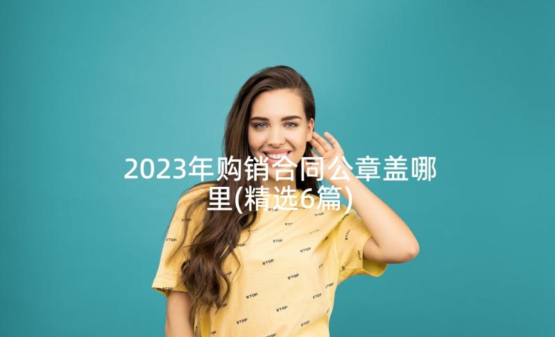 2023年购销合同公章盖哪里(精选6篇)