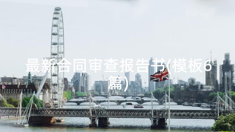 最新合同审查报告书(模板6篇)