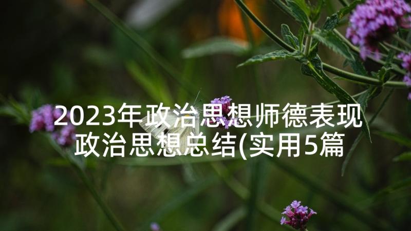 2023年政治思想师德表现 政治思想总结(实用5篇)