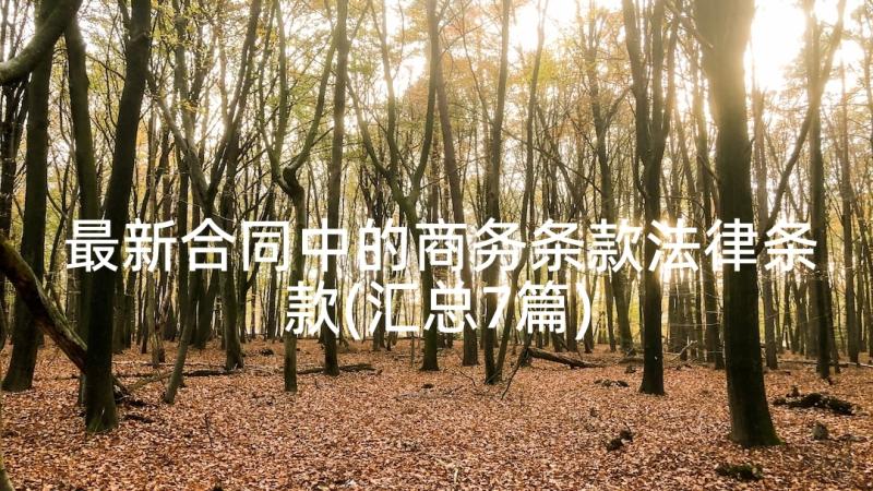 最新合同中的商务条款法律条款(汇总7篇)