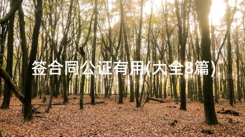 签合同公证有用(大全8篇)