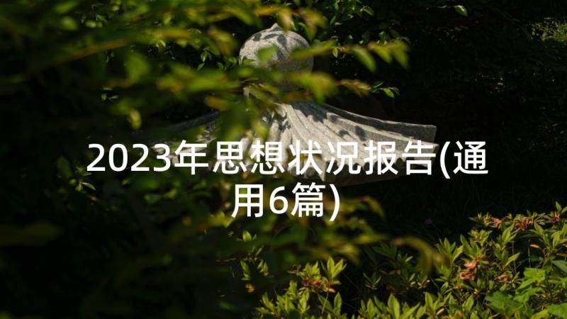 2023年思想状况报告(通用6篇)