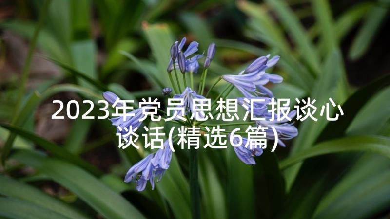 2023年党员思想汇报谈心谈话(精选6篇)