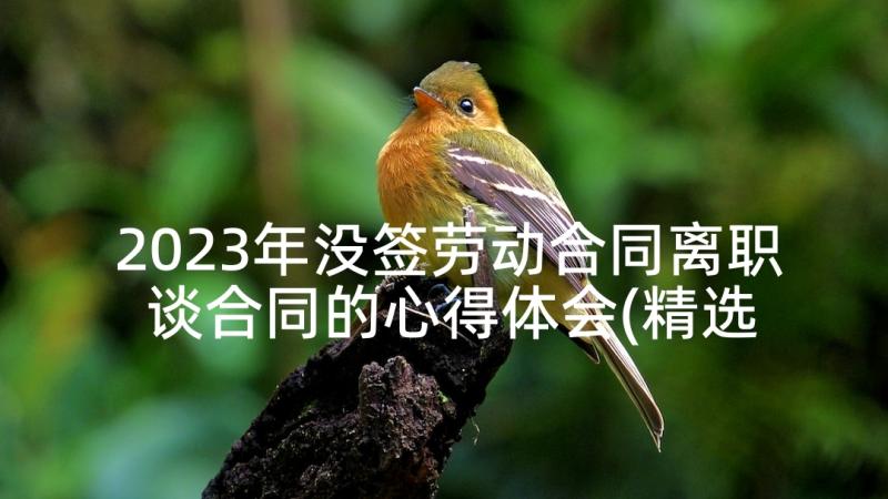 2023年没签劳动合同离职 谈合同的心得体会(精选6篇)