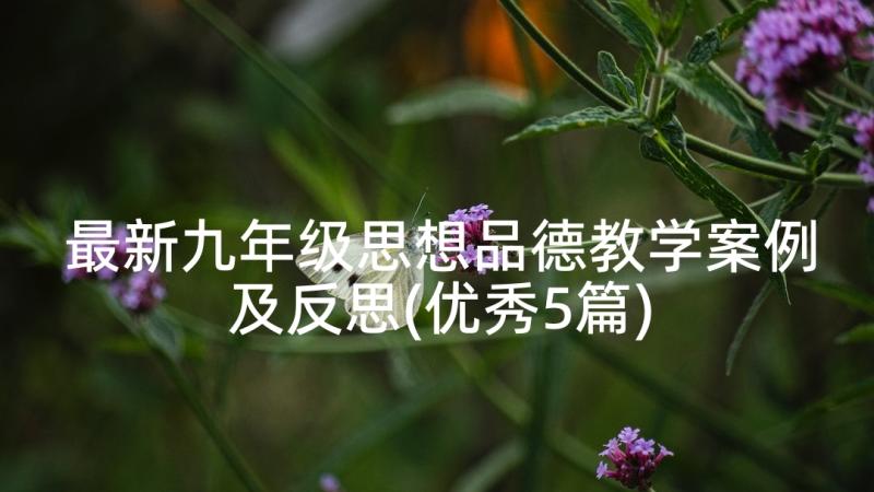 最新九年级思想品德教学案例及反思(优秀5篇)