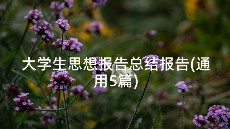 大学生思想报告总结报告(通用5篇)