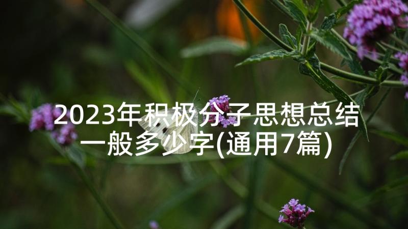 2023年积极分子思想总结一般多少字(通用7篇)