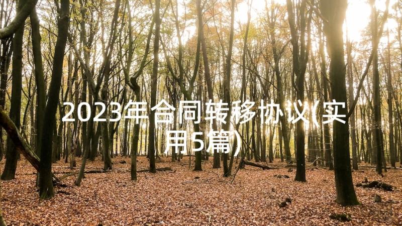 2023年合同转移协议(实用5篇)