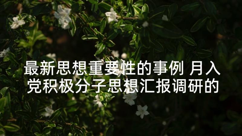 最新思想重要性的事例 月入党积极分子思想汇报调研的重要性(通用5篇)