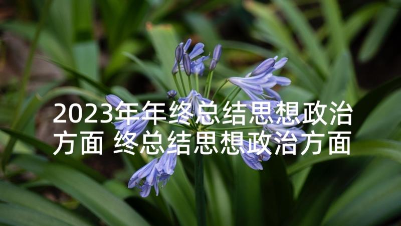 2023年年终总结思想政治方面 终总结思想政治方面(优质5篇)