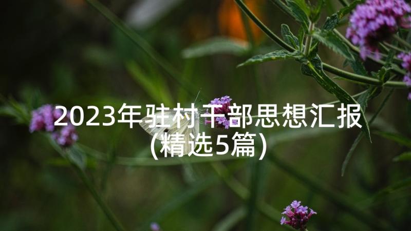 2023年驻村干部思想汇报(精选5篇)