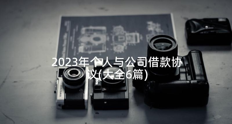 2023年个人与公司借款协议(大全6篇)