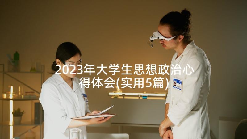 2023年大学生思想政治心得体会(实用5篇)