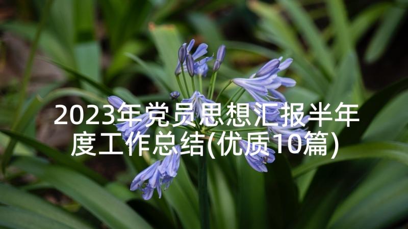 2023年党员思想汇报半年度工作总结(优质10篇)