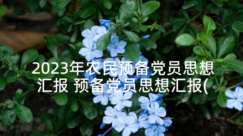 2023年农民预备党员思想汇报 预备党员思想汇报(优质9篇)