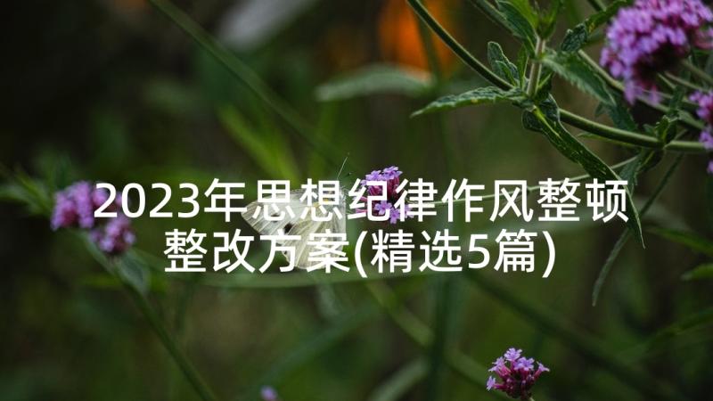 2023年思想纪律作风整顿整改方案(精选5篇)