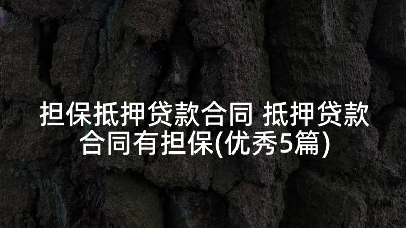 担保抵押贷款合同 抵押贷款合同有担保(优秀5篇)