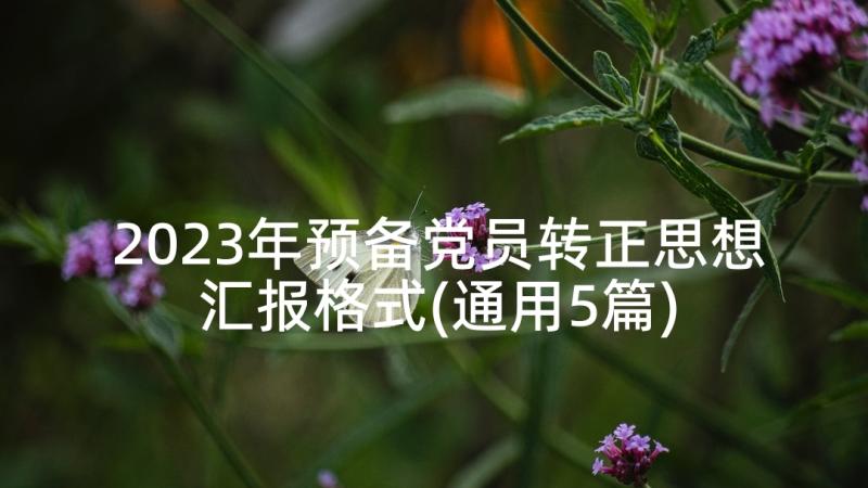 2023年预备党员转正思想汇报格式(通用5篇)