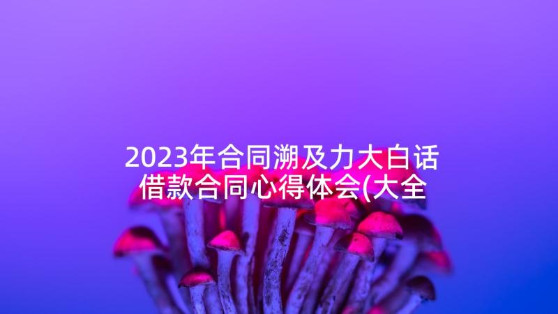 2023年合同溯及力大白话 借款合同心得体会(大全5篇)