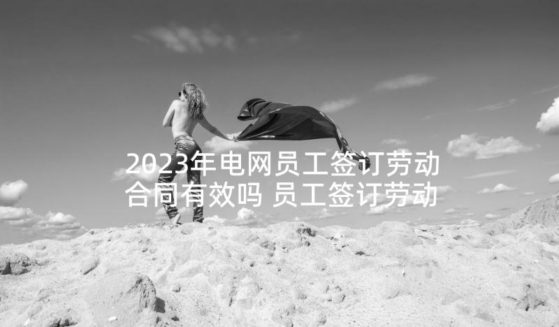 2023年电网员工签订劳动合同有效吗 员工签订劳动合同(汇总5篇)