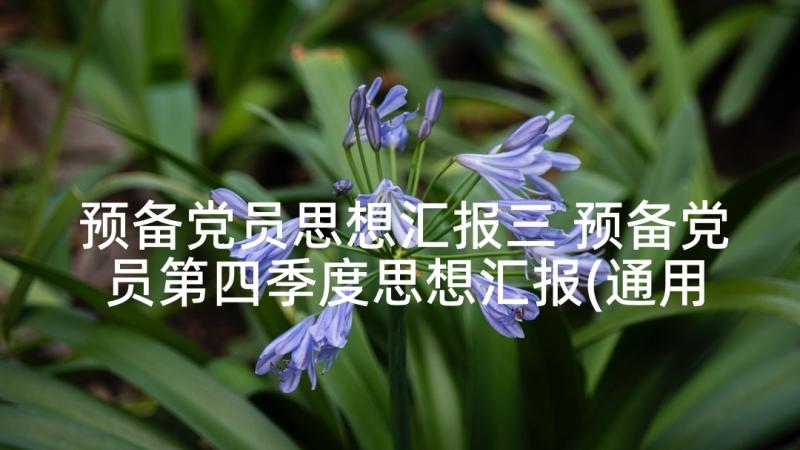 预备党员思想汇报三 预备党员第四季度思想汇报(通用6篇)