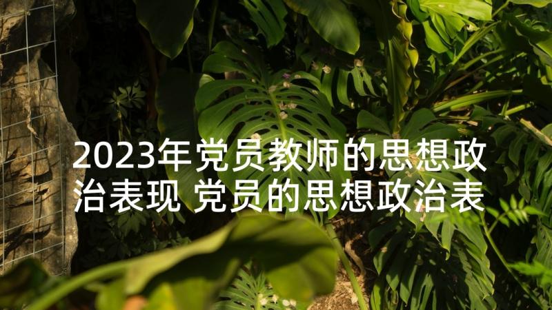 2023年党员教师的思想政治表现 党员的思想政治表现心得(大全7篇)