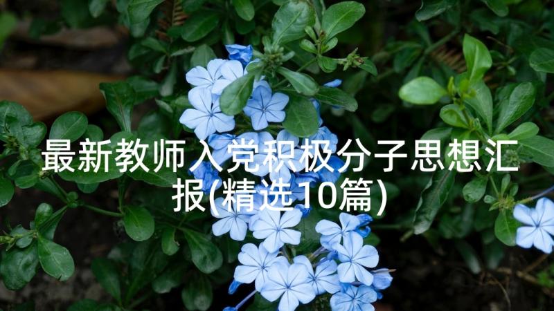 最新教师入党积极分子思想汇报(精选10篇)