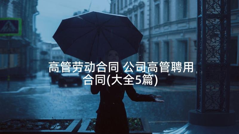 高管劳动合同 公司高管聘用合同(大全5篇)