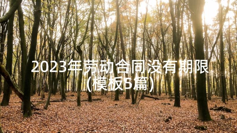 2023年劳动合同没有期限(模板5篇)