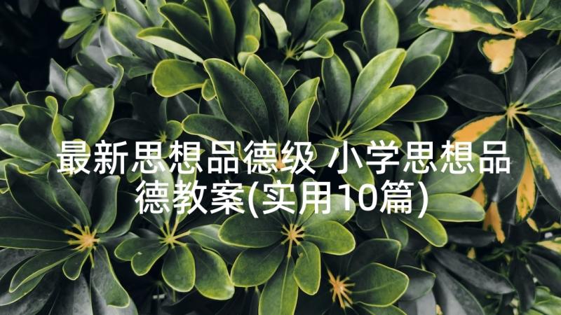 最新思想品德级 小学思想品德教案(实用10篇)