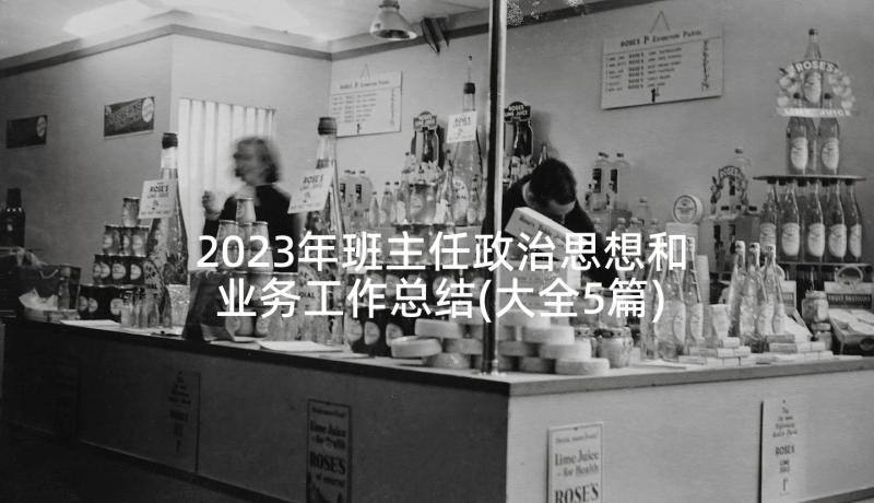 2023年班主任政治思想和业务工作总结(大全5篇)