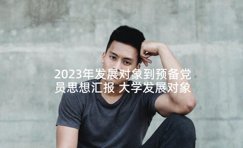 2023年发展对象到预备党员思想汇报 大学发展对象思想汇报(精选5篇)