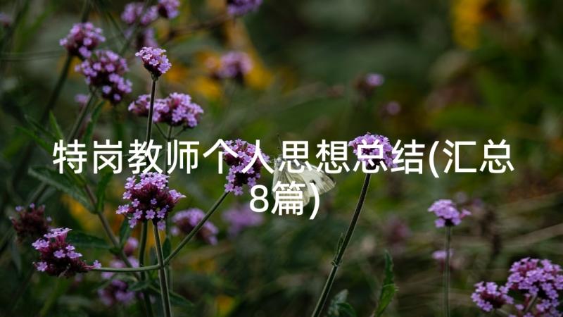 特岗教师个人思想总结(汇总8篇)