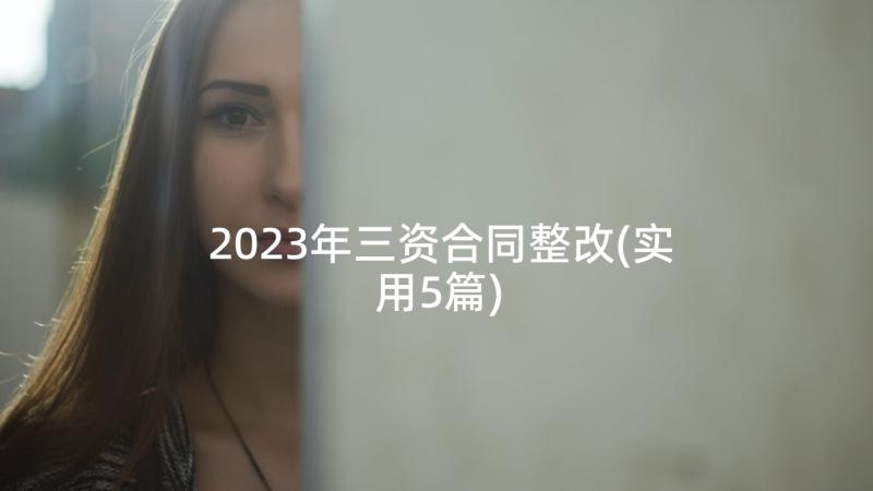 2023年三资合同整改(实用5篇)