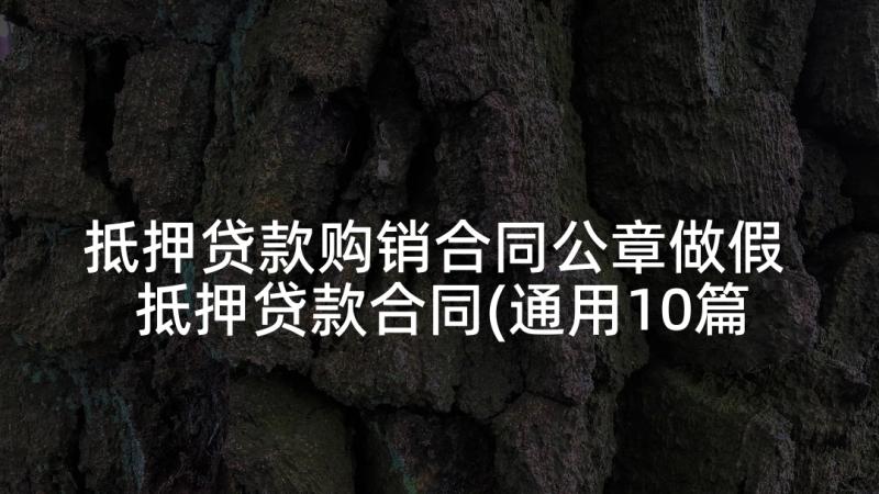 抵押贷款购销合同公章做假 抵押贷款合同(通用10篇)