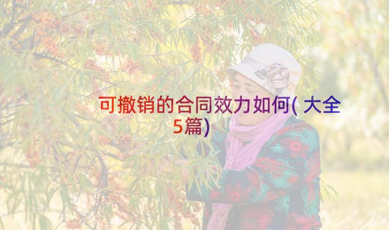 可撤销的合同效力如何(大全5篇)