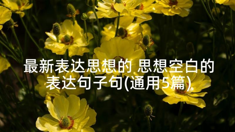 最新表达思想的 思想空白的表达句子句(通用5篇)