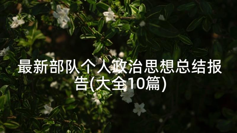 最新部队个人政治思想总结报告(大全10篇)