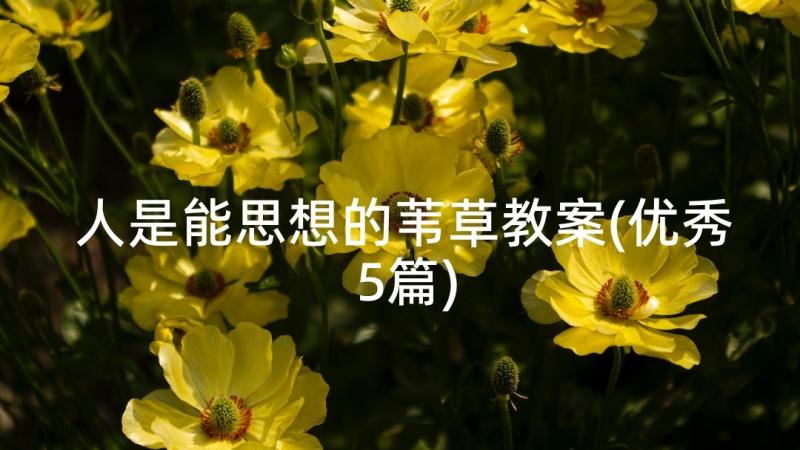 人是能思想的苇草教案(优秀5篇)