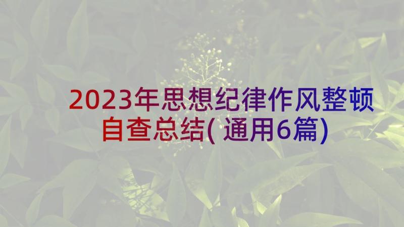 2023年思想纪律作风整顿自查总结(通用6篇)