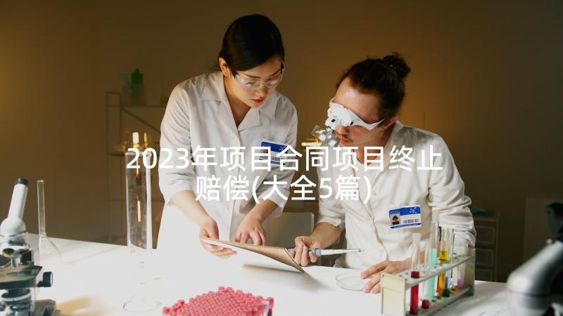 2023年项目合同项目终止赔偿(大全5篇)