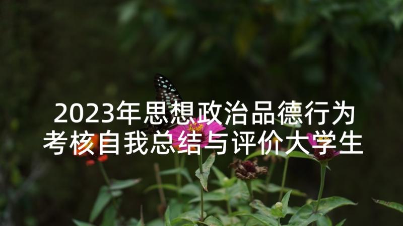 2023年思想政治品德行为考核自我总结与评价大学生(通用5篇)