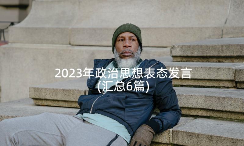 2023年政治思想表态发言(汇总6篇)