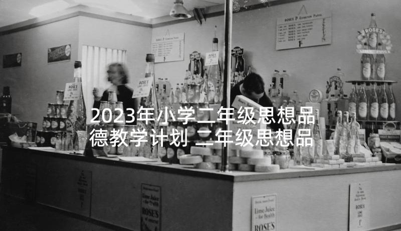 2023年小学二年级思想品德教学计划 二年级思想品德工作计划(实用5篇)