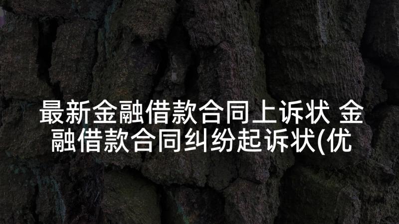 最新金融借款合同上诉状 金融借款合同纠纷起诉状(优质5篇)