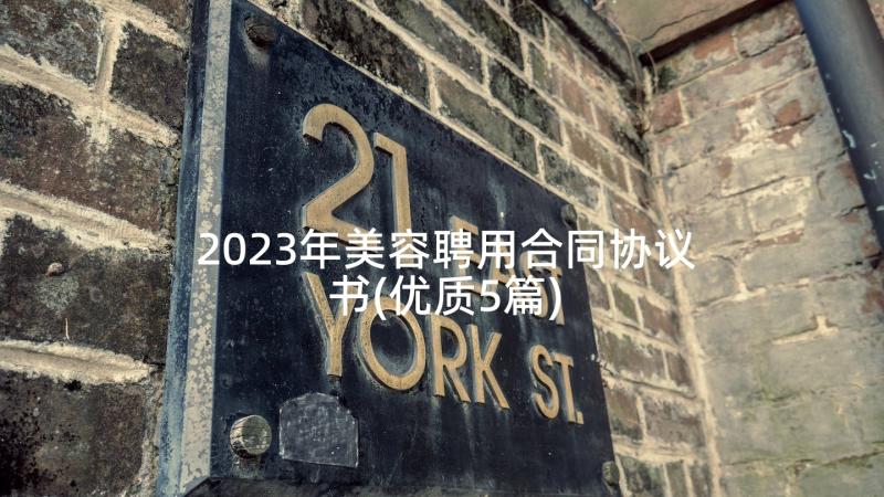 2023年美容聘用合同协议书(优质5篇)