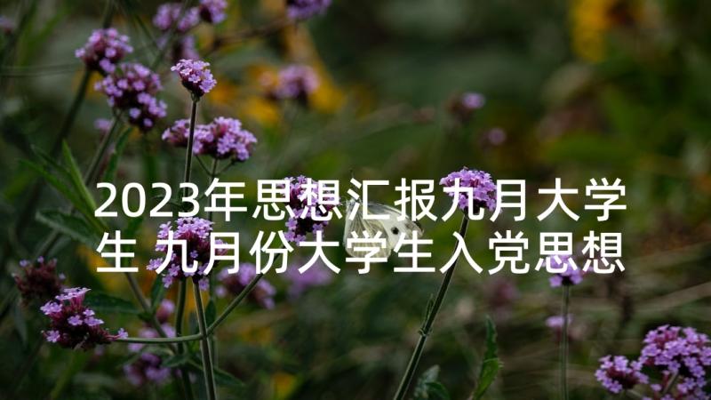 2023年思想汇报九月大学生 九月份大学生入党思想汇报(优质5篇)