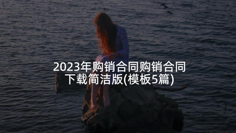 2023年购销合同购销合同下载简洁版(模板5篇)