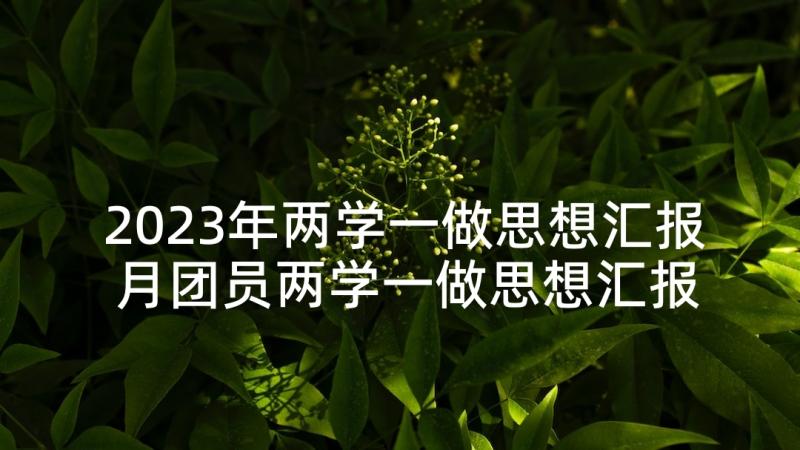 2023年两学一做思想汇报 月团员两学一做思想汇报(优质6篇)