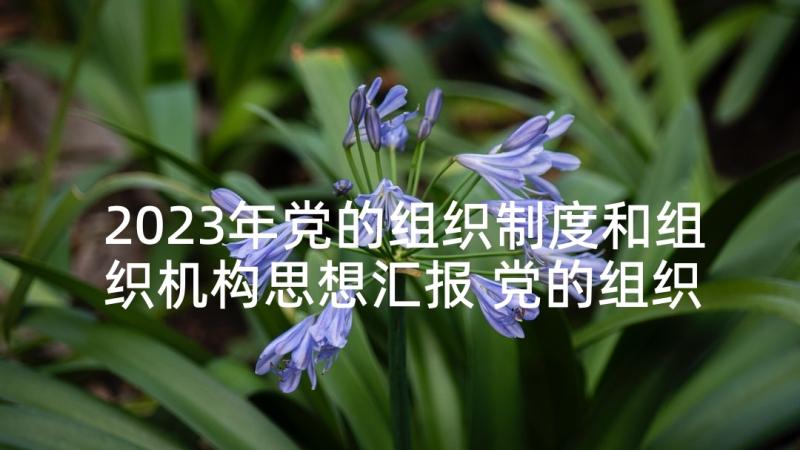 2023年党的组织制度和组织机构思想汇报 党的组织原则和纪律思想党课思想汇报(汇总5篇)